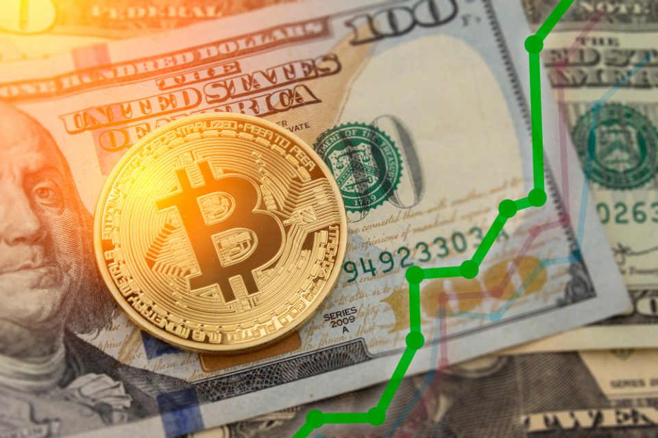 Bitcoin Investment Gains Diverse Outlook