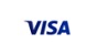 visa casino payments logo