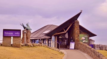 scottish seabird center