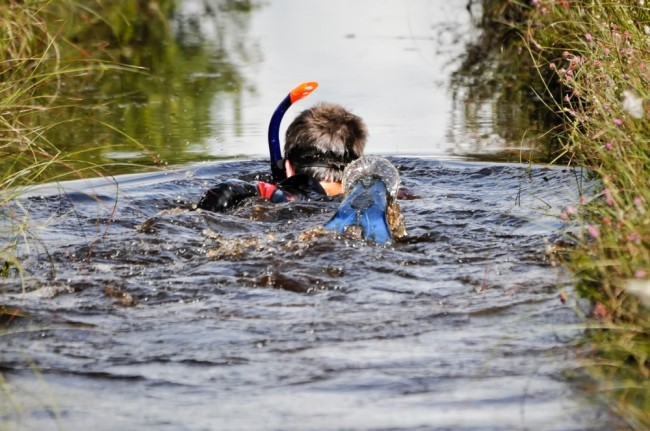 bog snorkeling bets