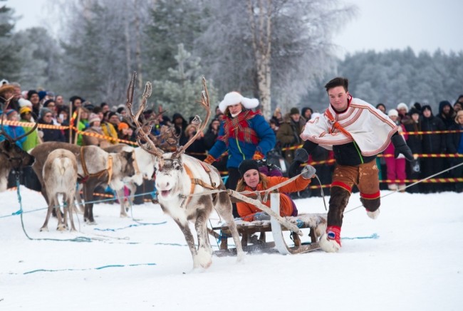 reindeer racing bets