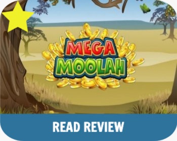 Mega Moolah Slot Review UK