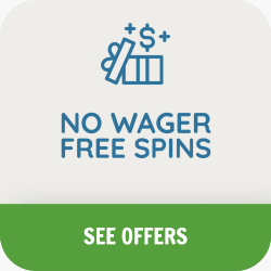 Free Spins No Wagering