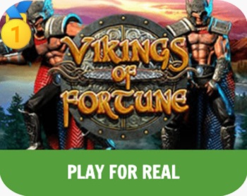 Play Vikings of Fortune Slot